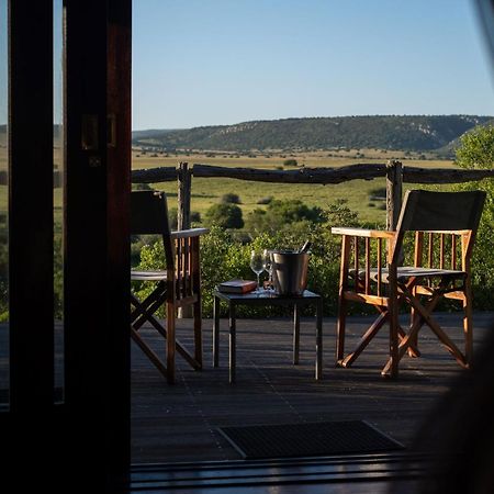 Hillsnek Safari Camp - Amakhala Game Reserve Exterior photo