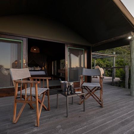 Hillsnek Safari Camp - Amakhala Game Reserve Exterior photo