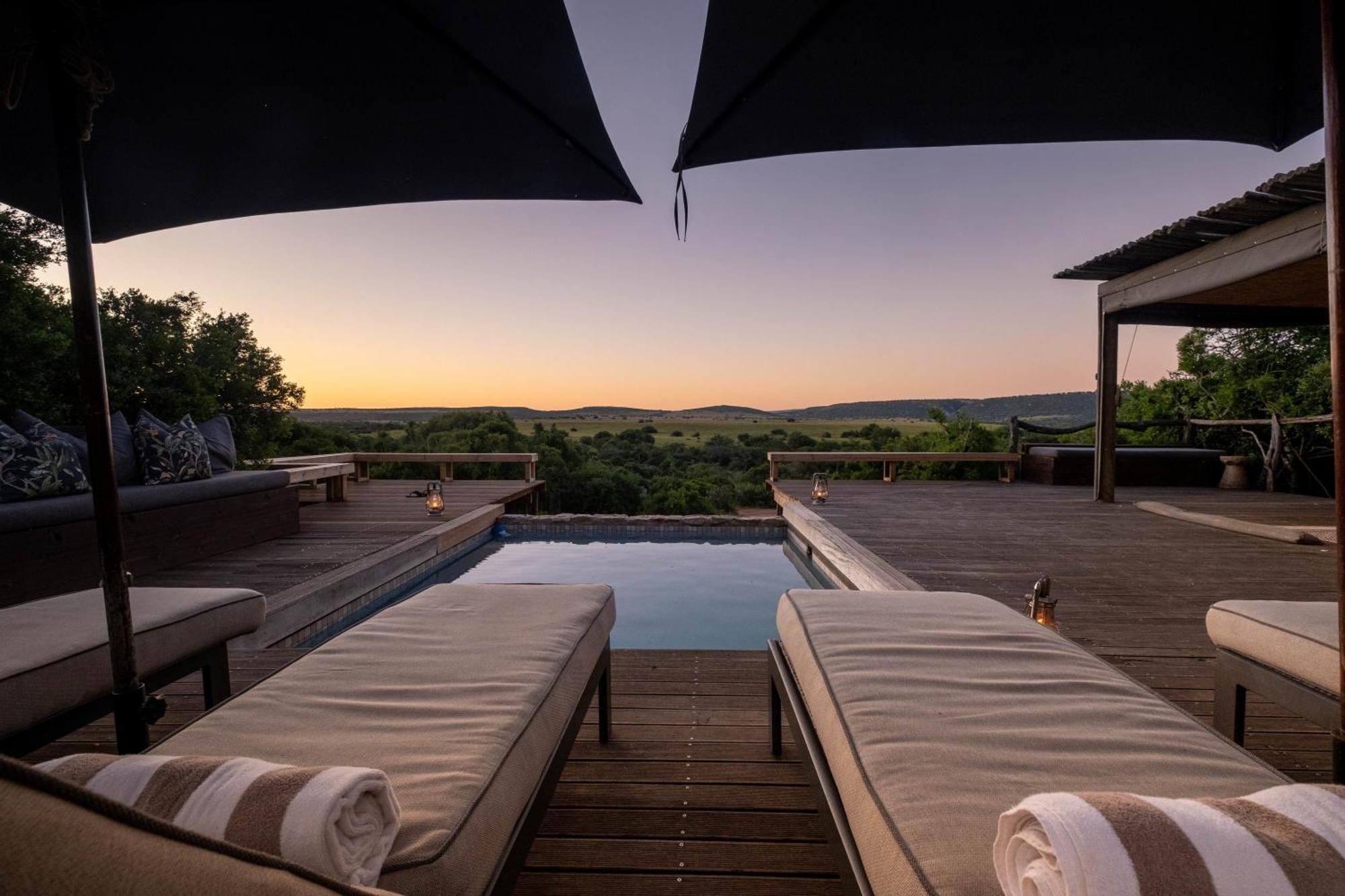 Hillsnek Safari Camp - Amakhala Game Reserve Exterior photo