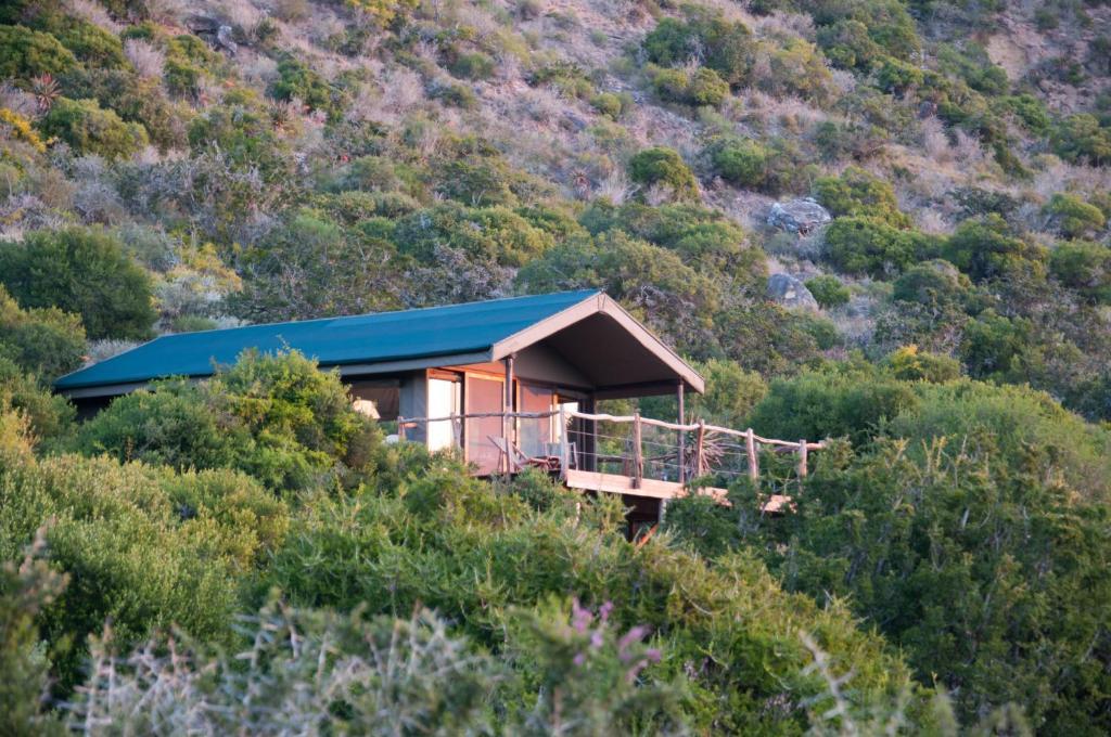 Hillsnek Safari Camp - Amakhala Game Reserve Room photo