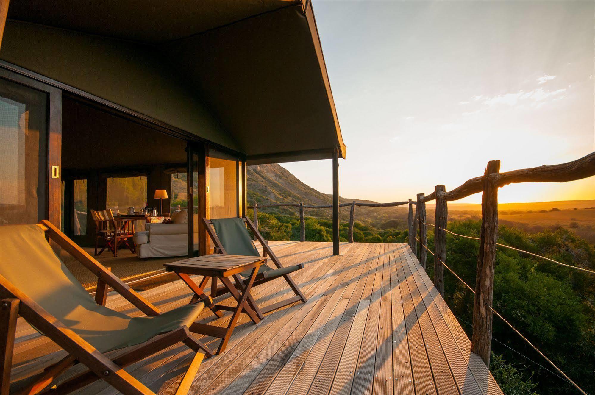 Hillsnek Safari Camp - Amakhala Game Reserve Exterior photo