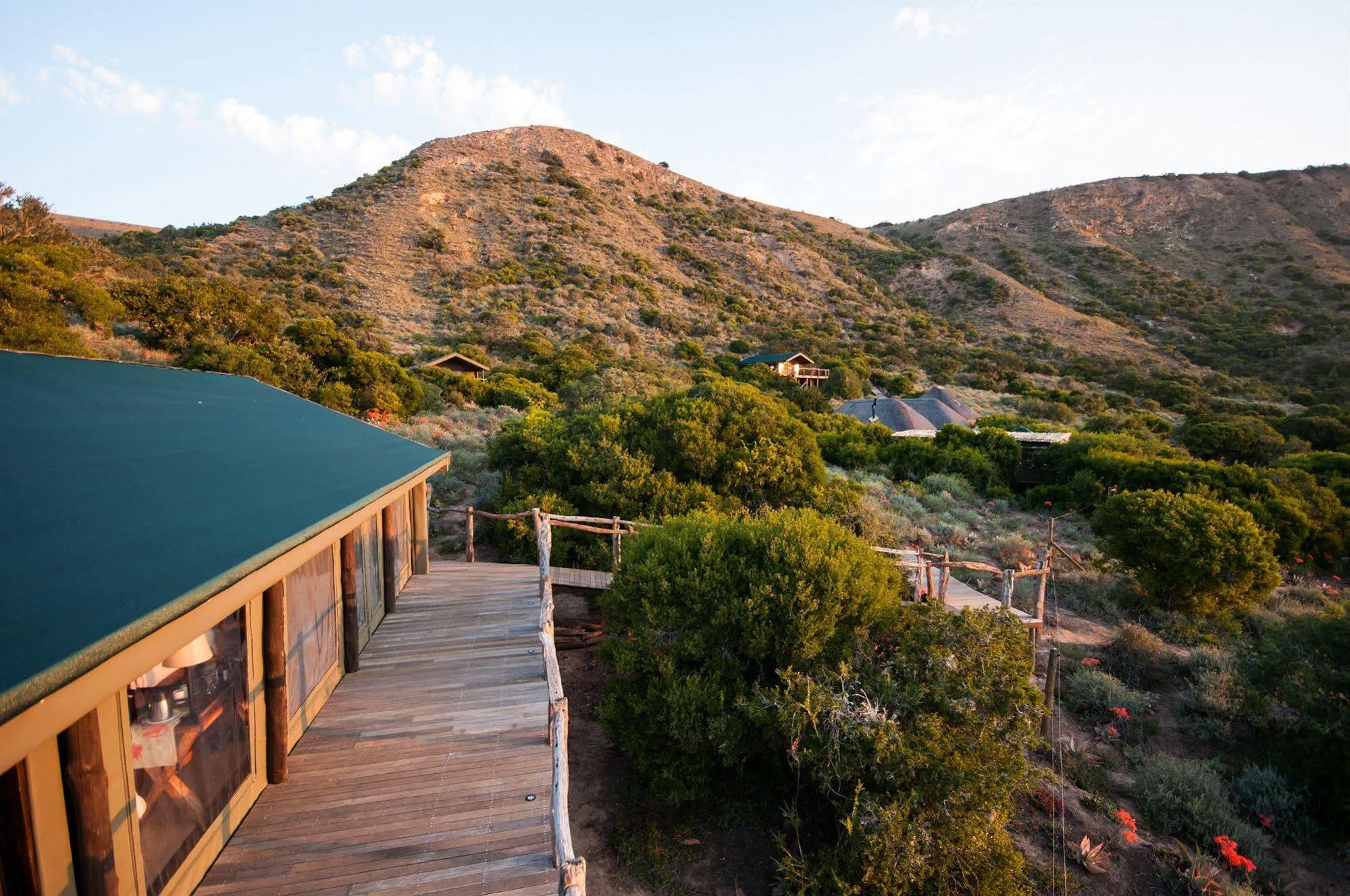 Hillsnek Safari Camp - Amakhala Game Reserve Exterior photo