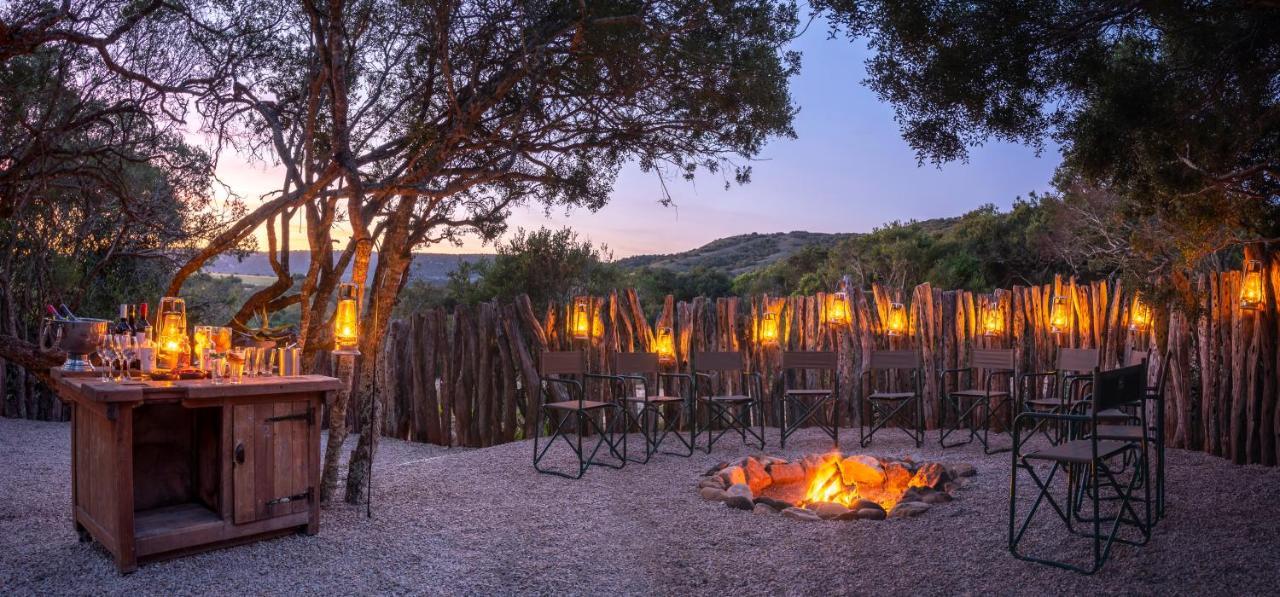 Hillsnek Safari Camp - Amakhala Game Reserve Exterior photo