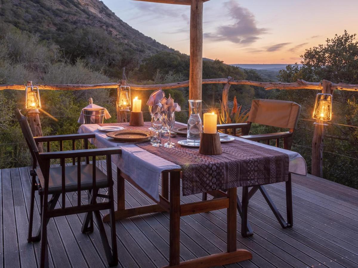 Hillsnek Safari Camp - Amakhala Game Reserve Exterior photo