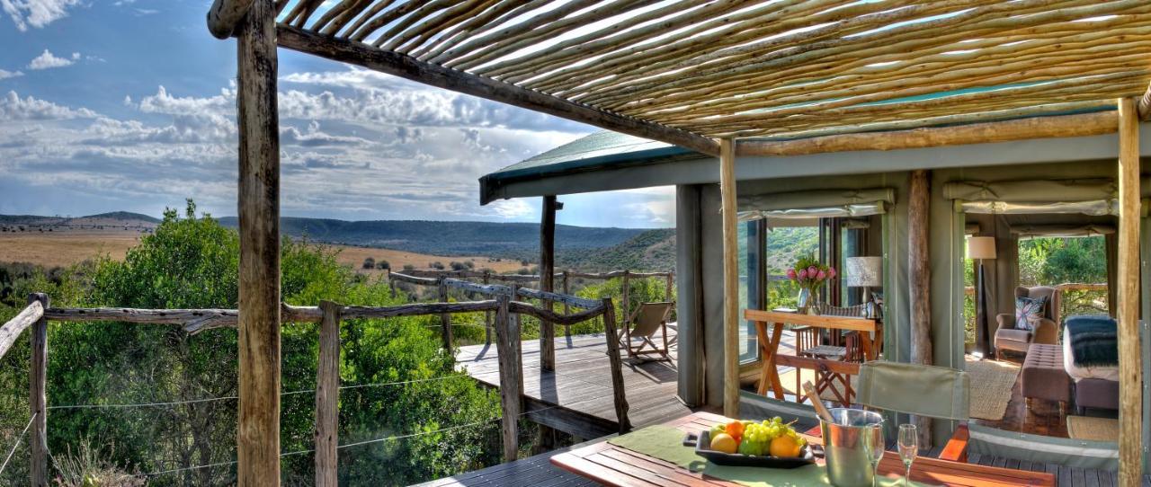 Hillsnek Safari Camp - Amakhala Game Reserve Exterior photo